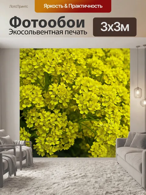 Фотообои Желтые цветы