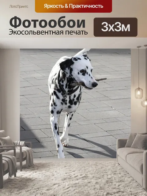 Фотообои Далматинец