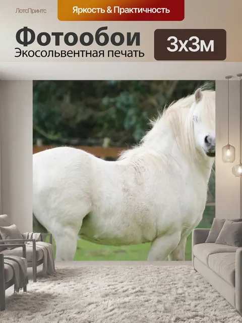 Фотообои Лошадь