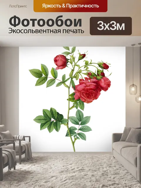 Фотообои Роза цветок старинная картина