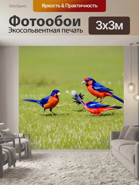 Фотообои яркие птицы, устроившие парад цвета среди солнечных низменностей, стремящиеся к земле