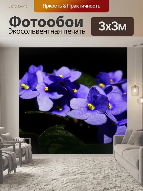 Фотообои Цветок