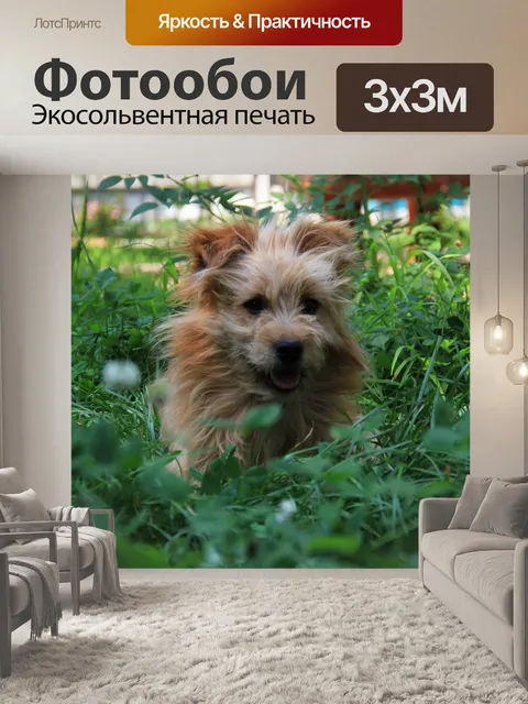 Фотообои Природа