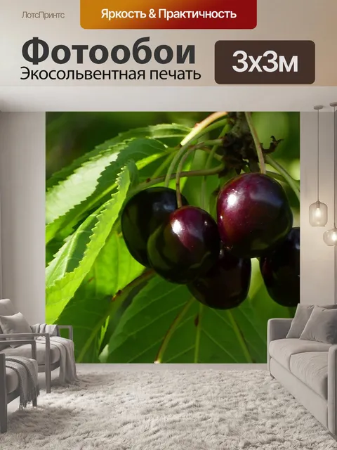 Фотообои Природа