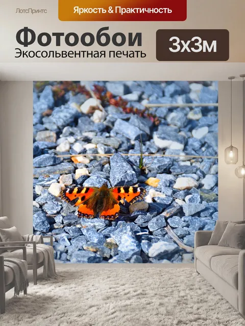 Фотообои Бабочка