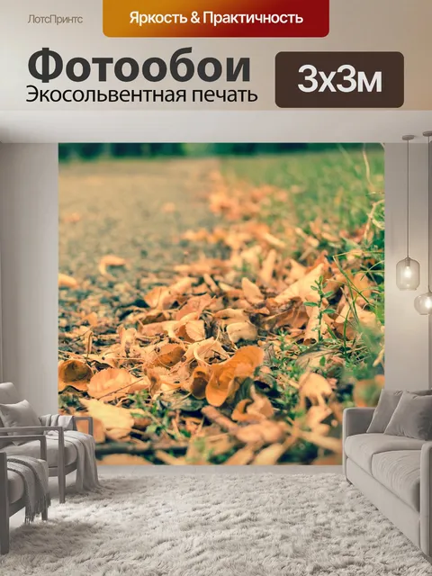 Фотообои Падение