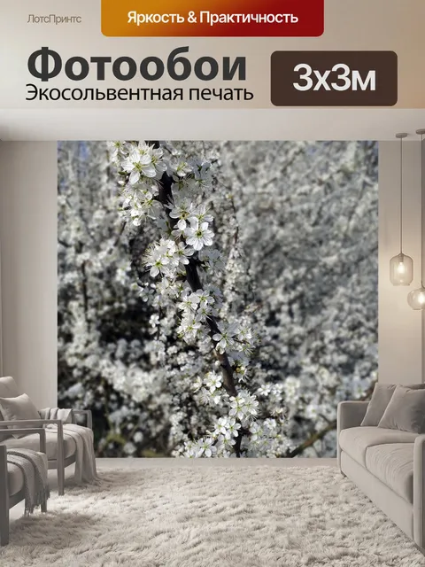 Фотообои Боярышник цветы кустарник природа
