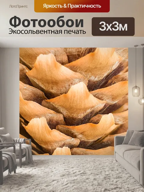 Фотообои Конус из коричневой ели