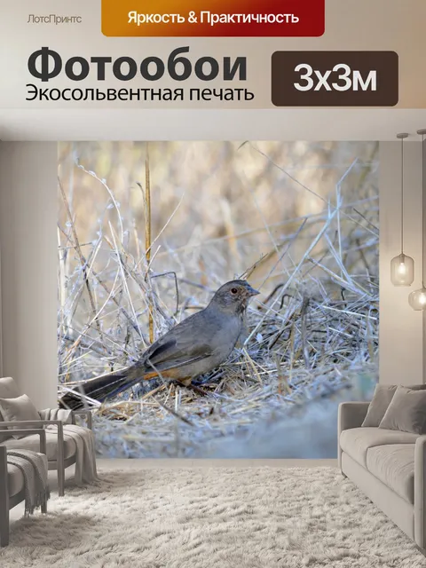 Фотообои Птица в траве # 2
