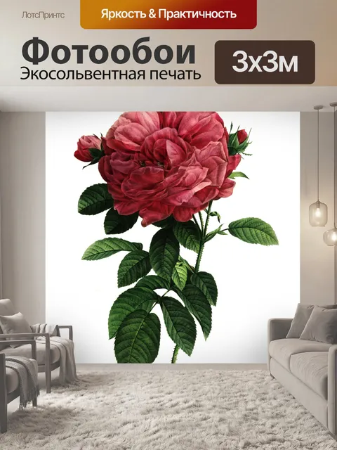Фотообои Роза цветут винтажное искусство