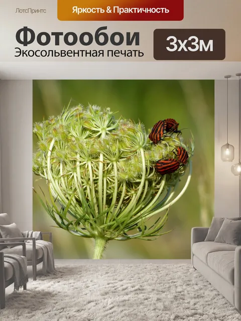 Фотообои Трава