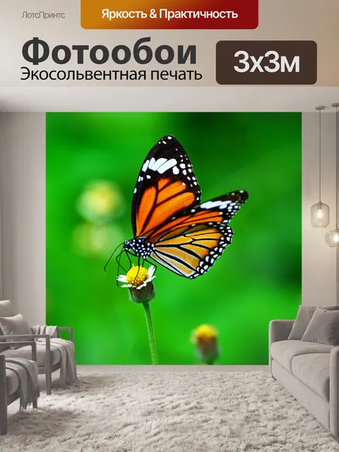 Фотообои Бабочка