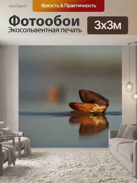 Фотообои Оболочка
