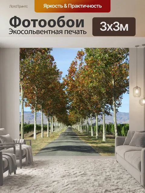 Фотообои Дорога