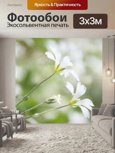 Фотообои Цветы