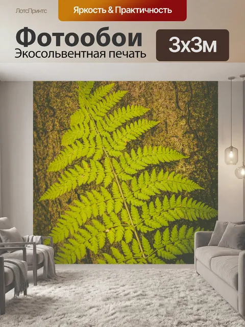 Фотообои Лист папоротника