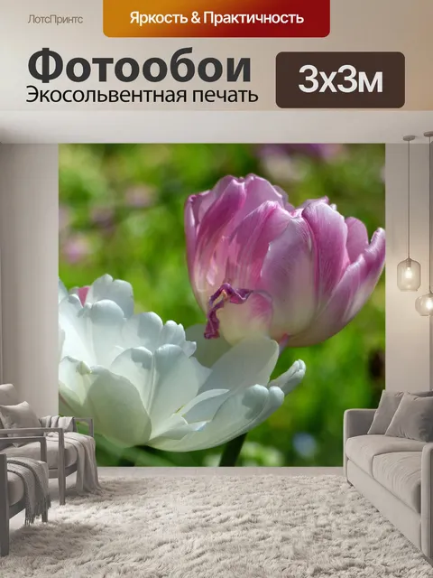 Фотообои Тюльпаны