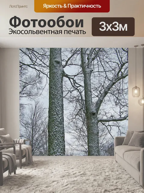 Фотообои Деревья