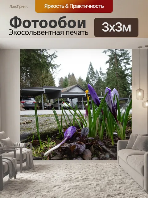 Фотообои фиолетовые цветы