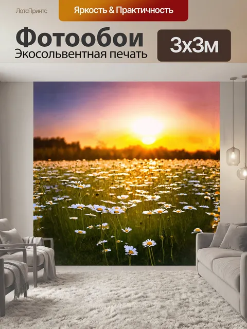 Фотообои поле ромашек, где каждый цветок мерцает на фоне заката, заставляет зрителя оторваться от повседневности