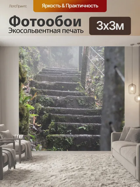 Фотообои Лестница на тропинке в тропическом лесу