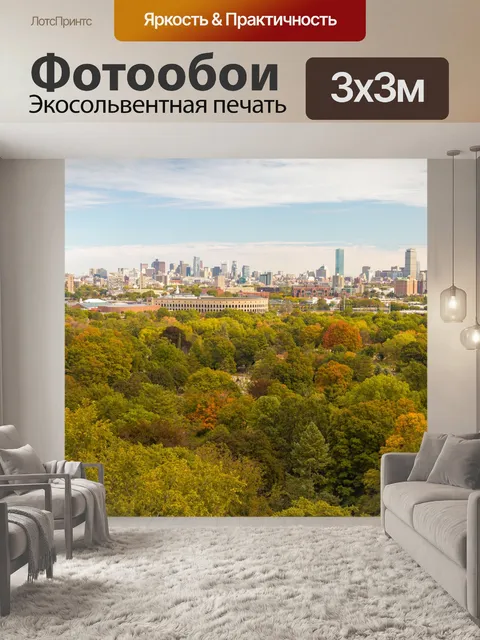 Фотообои городской пейзаж бостона