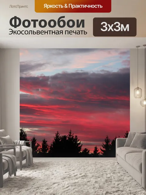 Фотообои Лес