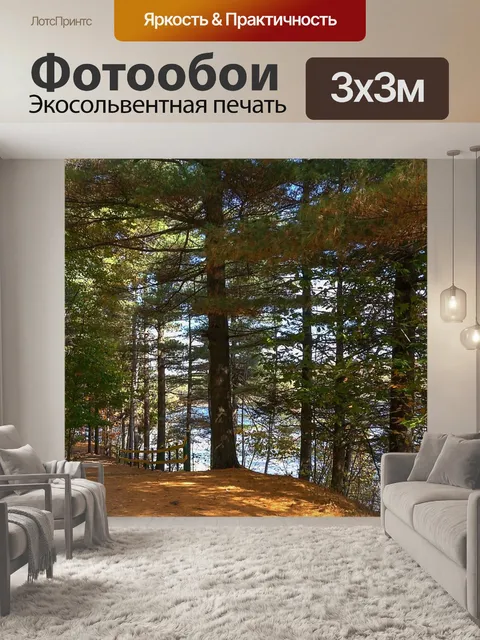 Фотообои Лес