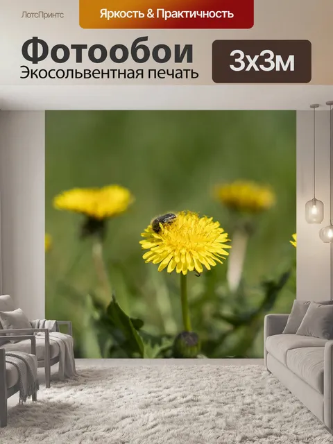 Фотообои Одуванчик
