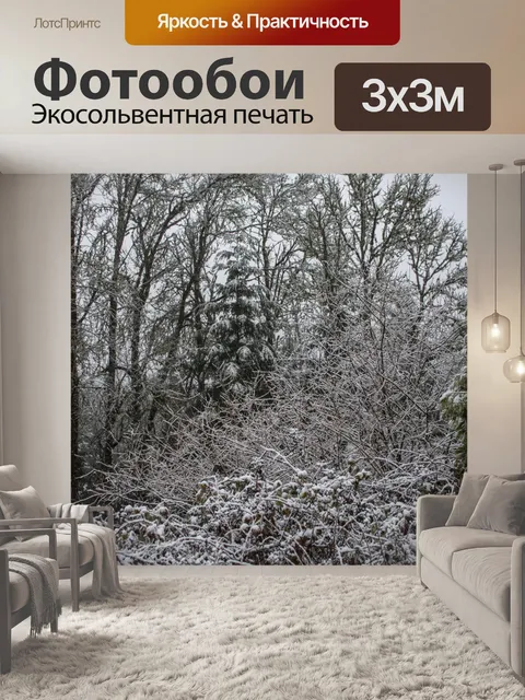 Фотообои Зимний лес