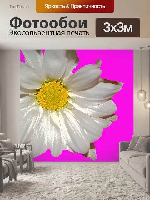 Фотообои Ромашки Цветет Флора