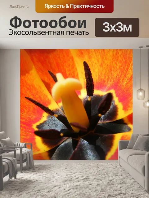 Фотообои Маки