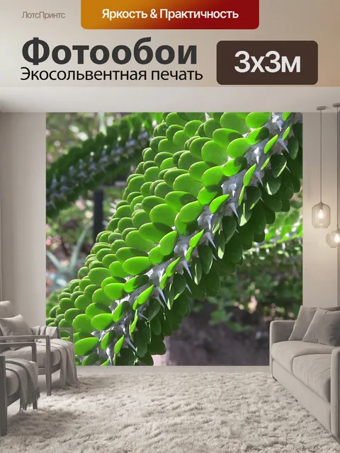 Фотообои Зеленый сочной Фон