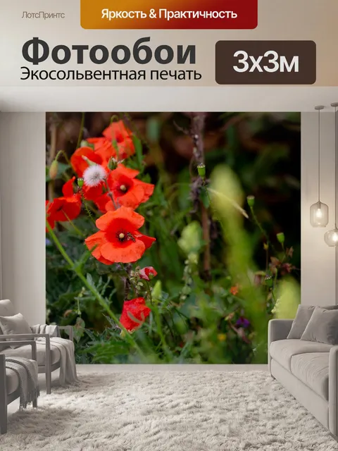 Фотообои Цветы