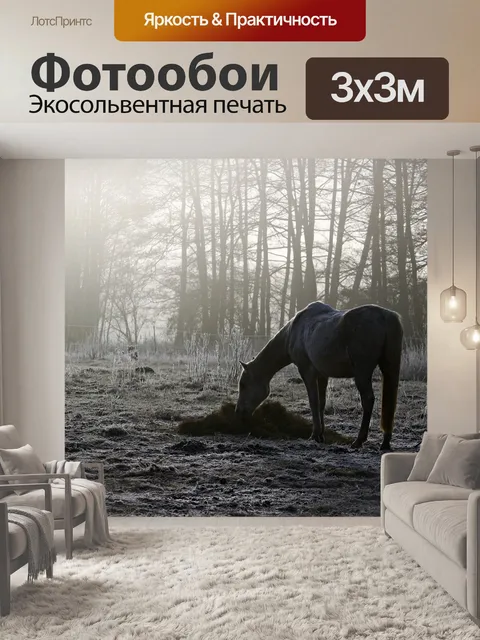 Фотообои Лошадь