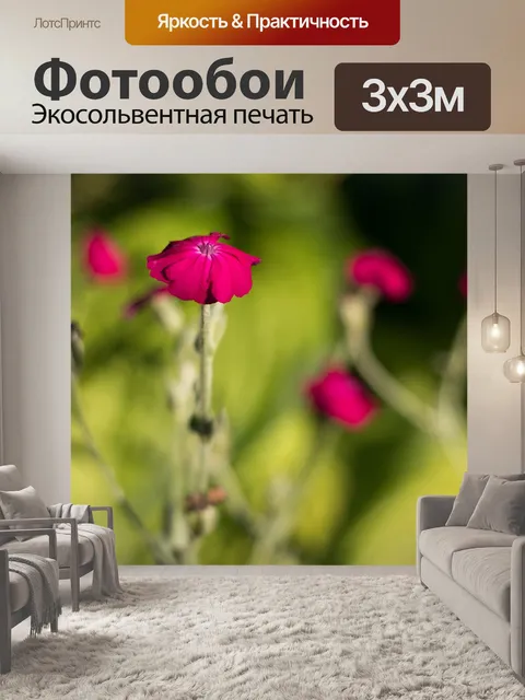 Фотообои Цветы