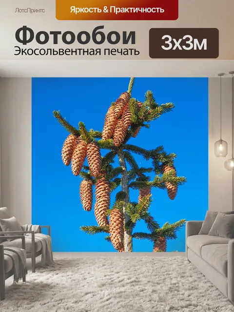 Фотообои еловые шишки на дереве