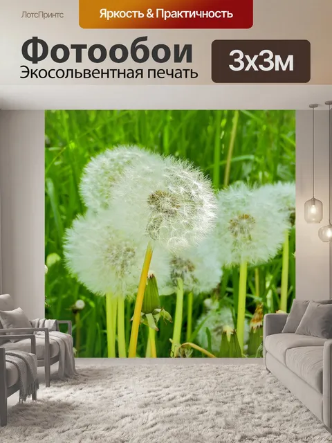 Фотообои Цветок
