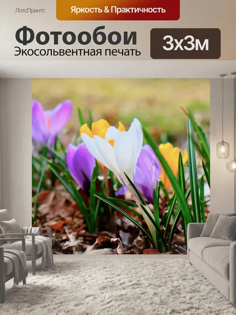 Фотообои Сад