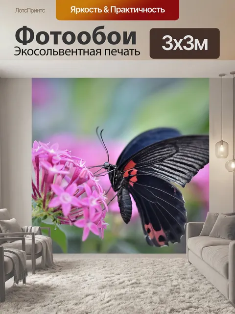 Фотообои Бабочка