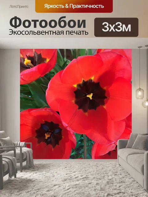 Фотообои Красный