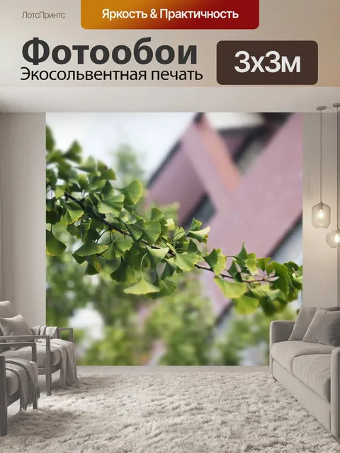 Фотообои Гинкго