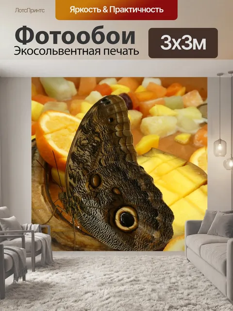 Фотообои Бабочка