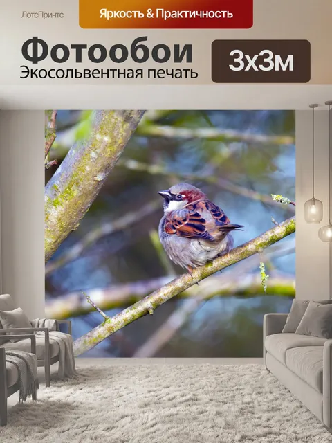 Фотообои Деревенский воробей Прохожий montanus