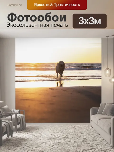 Фотообои Собака