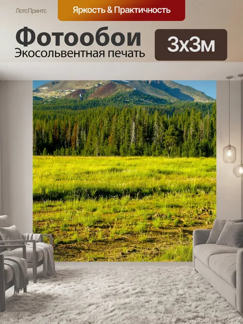 Фотообои Луг