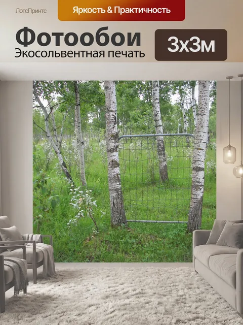 Фотообои Ворота в области 2
