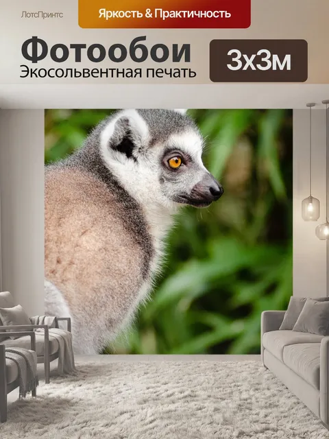 Фотообои Животное