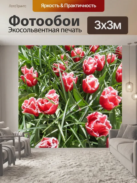 Фотообои Тюльпан