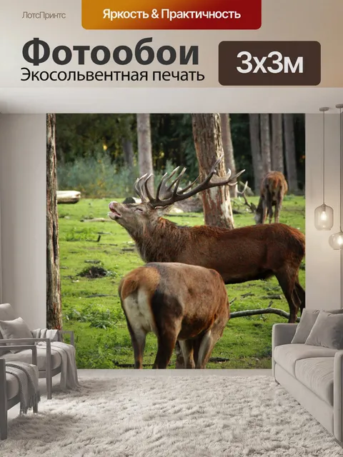 Фотообои Стадо благородных оленей косуль
